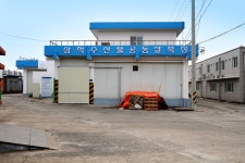 명태와 황태덕장 - 국립민속박물관 민속현장조사 명태와 황태덕장