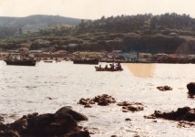 미역바위를 가꾸며 살아가는 울산 구유동 제전마을 - 국립민속박물관 민속현장조사 미역바위를 가꾸며 살아가는 울산 구유동 제전마을