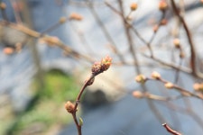 울산 무룡동 달곡마을 - 국립민속박물관 민속현장조사 울산 무룡동 달곡마을