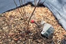 울산 무룡동 달곡마을 - 국립민속박물관 민속현장조사 울산 무룡동 달곡마을