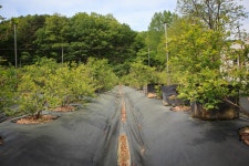 울산 무룡동 달곡마을 - 국립민속박물관 민속현장조사 울산 무룡동 달곡마을