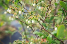 울산 무룡동 달곡마을 - 국립민속박물관 민속현장조사 울산 무룡동 달곡마을