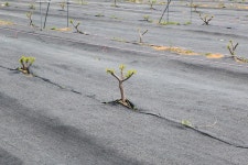 울산 무룡동 달곡마을 - 국립민속박물관 민속현장조사 울산 무룡동 달곡마을