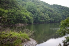울산 무룡동 달곡마을 - 국립민속박물관 민속현장조사 울산 무룡동 달곡마을