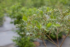 울산 무룡동 달곡마을 - 국립민속박물관 민속현장조사 울산 무룡동 달곡마을