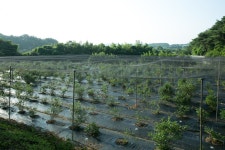 울산 무룡동 달곡마을 - 국립민속박물관 민속현장조사 울산 무룡동 달곡마을