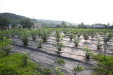 울산 무룡동 달곡마을 - 국립민속박물관 민속현장조사 울산 무룡동 달곡마을