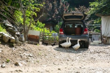 울산 무룡동 달곡마을 - 국립민속박물관 민속현장조사 울산 무룡동 달곡마을