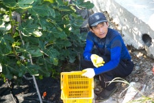 울산 무룡동 달곡마을 - 국립민속박물관 민속현장조사 울산 무룡동 달곡마을