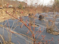 울산 무룡동 달곡마을 - 국립민속박물관 민속현장조사 울산 무룡동 달곡마을