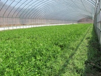 울산 무룡동 달곡마을 - 국립민속박물관 민속현장조사 울산 무룡동 달곡마을