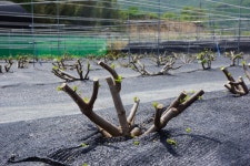 울산 무룡동 달곡마을 - 국립민속박물관 민속현장조사 울산 무룡동 달곡마을