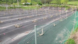 울산 무룡동 달곡마을 - 국립민속박물관 민속현장조사 울산 무룡동 달곡마을