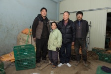 강원도 식물민속 약초상과 심마니 - 국립민속박물관 민속현장조사 강원도 식물민속 약초상과 심마니