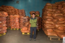 강원도 식물민속 약초상과 심마니 - 국립민속박물관 민속현장조사 강원도 식물민속 약초상과 심마니