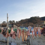 가덕도의 민속문화 눌차동 - 국립민속박물관 민속현장조사 가덕도의 민속문화 눌차동