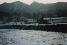 충남지방 장승ㆍ솟대신앙 - 국립민속박물관 민속현장조사 충남지방 장승ㆍ솟대신앙