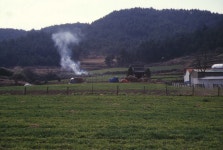 전남지방 장승ㆍ솟대신앙 - 국립민속박물관 민속현장조사 전남지방 장승ㆍ솟대신앙