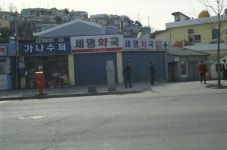 전남지방 장승ㆍ솟대신앙 - 국립민속박물관 민속현장조사 전남지방 장승ㆍ솟대신앙