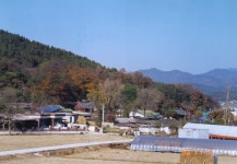 한국의 세시풍속 전북 전남 경북 경남 제주 편 - 국립민속박물관 민속현장조사 한국의 세시풍속 전북 전남 경북 경남 제주 편