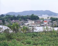 한국의 세시풍속 전북 전남 경북 경남 제주 편 - 국립민속박물관 민속현장조사 한국의 세시풍속 전북 전남 경북 경남 제주 편