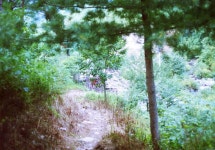 강원도 산간지역의 가옥과 생활 - 국립민속박물관 민속현장조사 강원도 산간지역의 가옥과 생활 