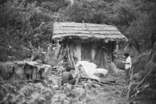 강원도 산간지역의 가옥과 생활 - 국립민속박물관 민속현장조사 강원도 산간지역의 가옥과 생활 