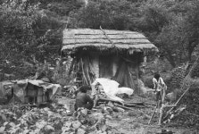 강원도 산간지역의 가옥과 생활 - 국립민속박물관 민속현장조사 강원도 산간지역의 가옥과 생활 