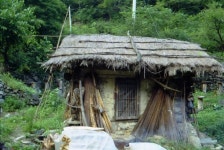 강원도 산간지역의 가옥과 생활 - 국립민속박물관 민속현장조사 강원도 산간지역의 가옥과 생활 