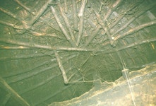 충청북도의 가옥과 생활 - 국립민속박물관 민속현장조사 충청북도의 가옥과 생활