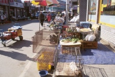 경기도 시장민속 - 국립민속박물관 민속현장조사 경기도 시장민속