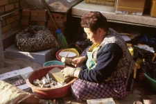 경기도 시장민속 - 국립민속박물관 민속현장조사 경기도 시장민속