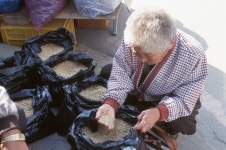 경기도 시장민속 - 국립민속박물관 민속현장조사 경기도 시장민속