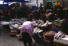 경기도 시장민속 - 국립민속박물관 민속현장조사 경기도 시장민속