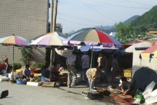 강원도 시장민속 - 국립민속박물관 민속현장조사 강원도 시장민속