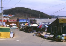 충청남도 시장민속 - 국립민속박물관 민속현장조사 충청남도 시장민속