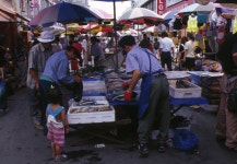 충청남도 시장민속 - 국립민속박물관 민속현장조사 충청남도 시장민속