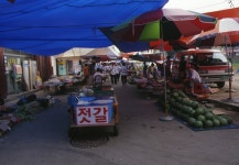 충청남도 시장민속 - 국립민속박물관 민속현장조사 충청남도 시장민속