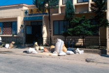 경상북도 시장민속 - 국립민속박물관 민속현장조사 경상북도 시장민속