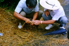 한국의 두레 - 국립민속박물관 민속현장조사 한국의 두레