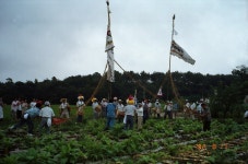 한국의 두레 - 국립민속박물관 민속현장조사 한국의 두레