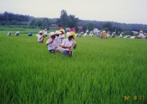 한국의 두레 - 국립민속박물관 민속현장조사 한국의 두레