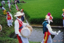 한국의 두레 - 국립민속박물관 민속현장조사 한국의 두레