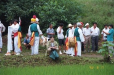 한국의 두레 - 국립민속박물관 민속현장조사 한국의 두레