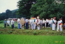 한국의 두레 - 국립민속박물관 민속현장조사 한국의 두레
