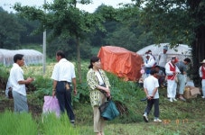 한국의 두레 - 국립민속박물관 민속현장조사 한국의 두레