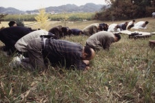한국의 제사 - 국립민속박물관 민속현장조사 한국의 제사
