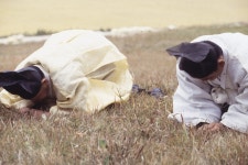 한국의 제사 - 국립민속박물관 민속현장조사 한국의 제사