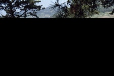 한국의 초분 - 국립민속박물관 민속현장조사 한국의 초분