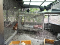 교동도의 시계수리공과 이발사 - 국립민속박물관 민속현장조사 교동도의 시계수리공과 이발사